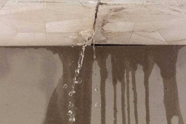 Professional Water Damage Inspection technician working in Evant, TX
